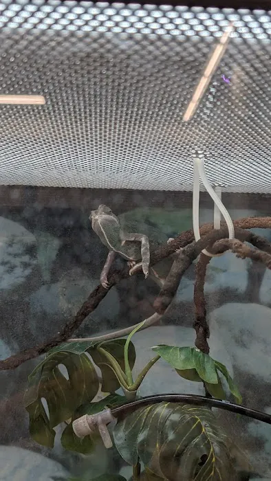 Petco Picture 5