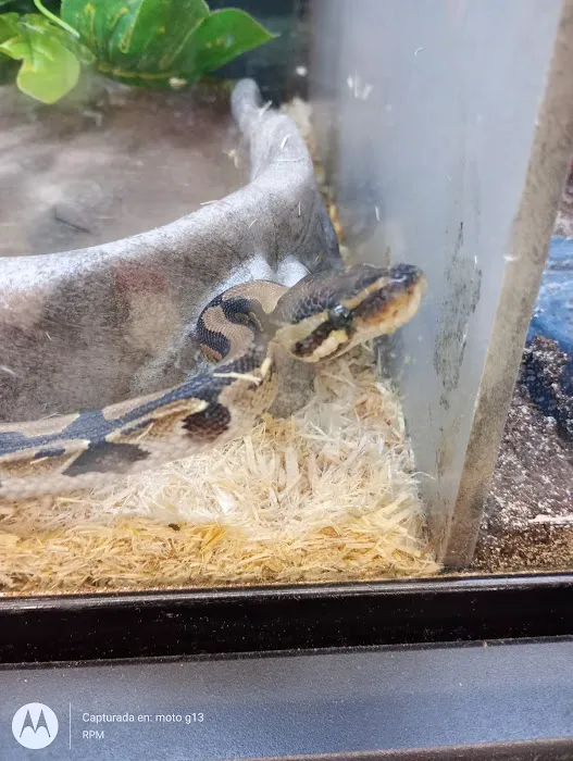 Petco Picture 2