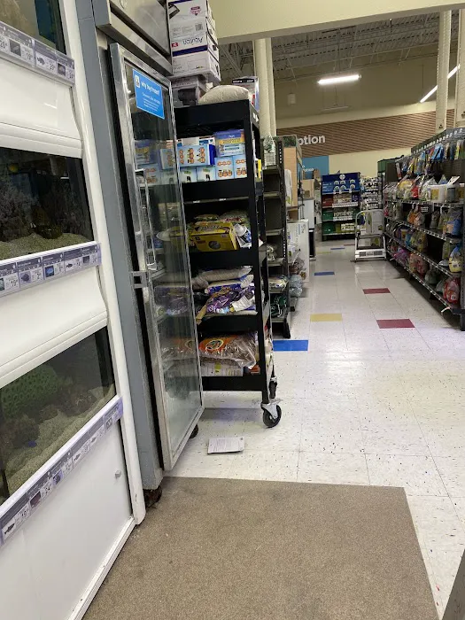Petco Picture 9