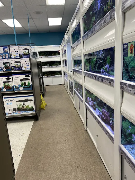 Petco Picture 8