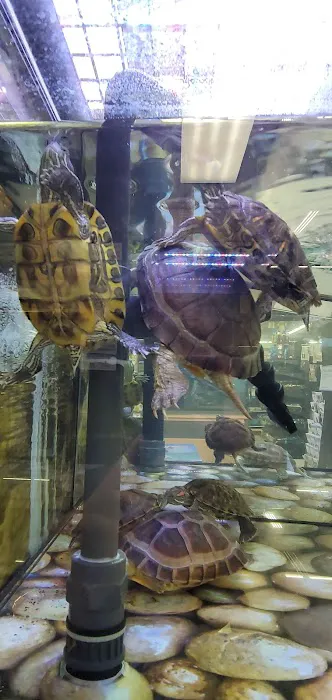Petco Picture 7
