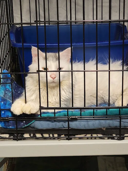 Pet Shield Veterinary Hospital Picture 2