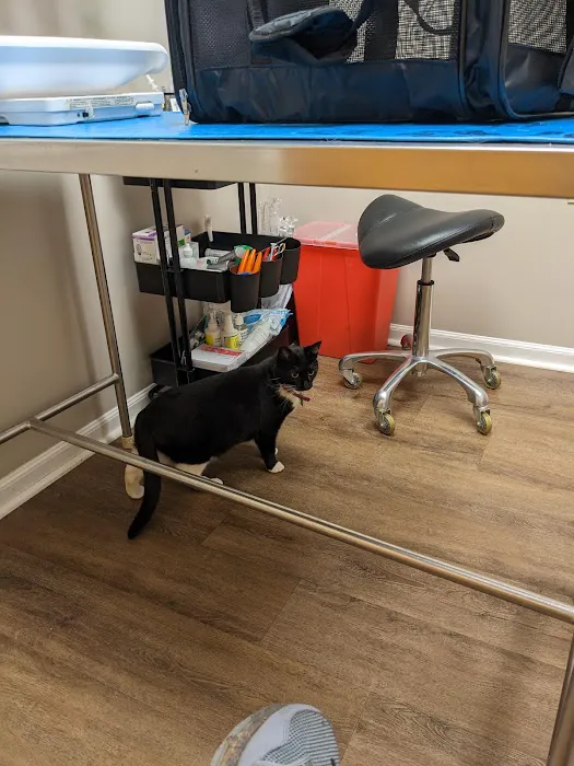 Montowese Veterinary Clinic Picture 3