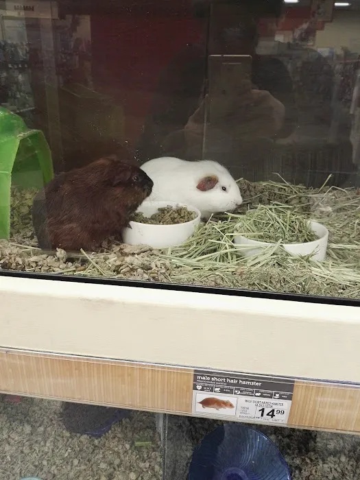 Petco Picture 9