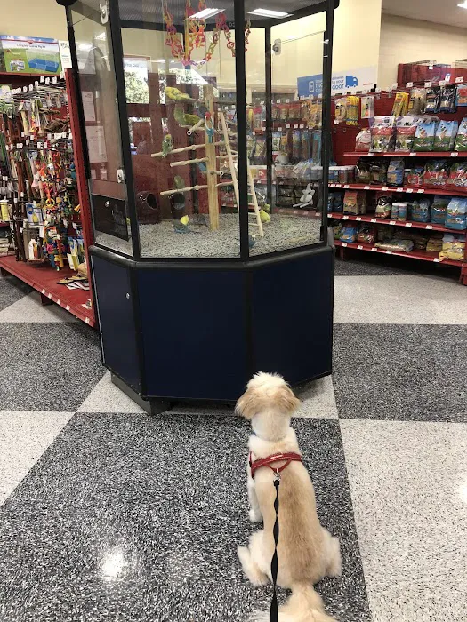 Petco Picture 1