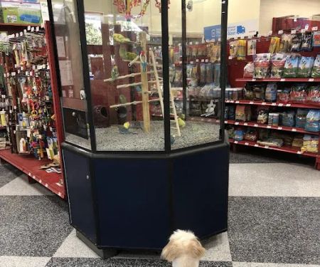 Petco