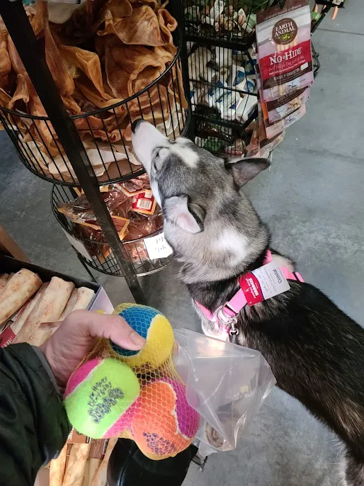 Bogie's Discount Pet Food & Supplies Picture 5