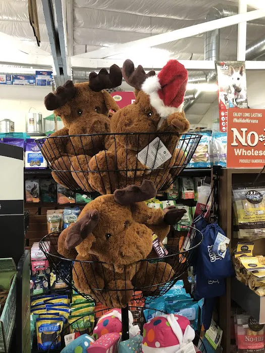 Bogie's Discount Pet Food & Supplies Picture 4