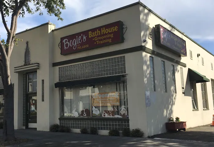 Bogie's Discount Pet Food & Supplies Picture 2