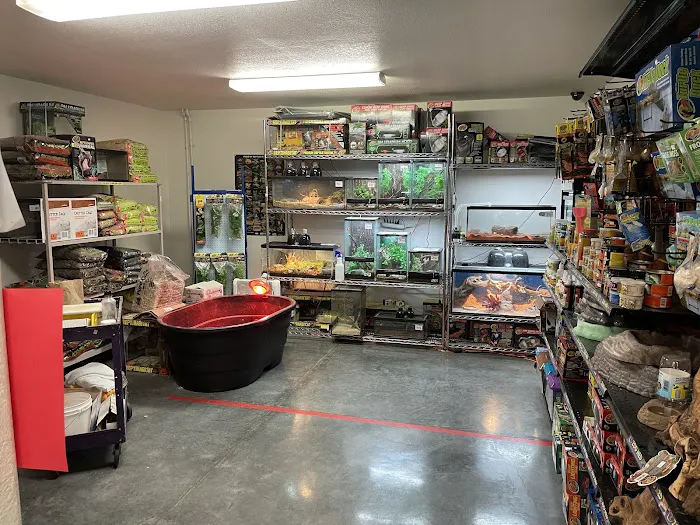 Bogie's Discount Pet Food & Supplies Picture 6