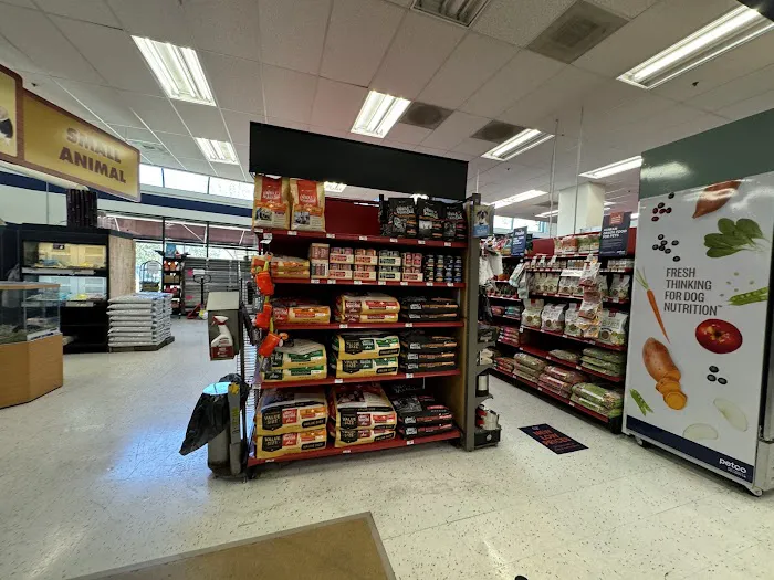 Petco Picture 9