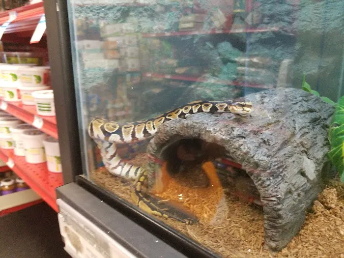 Petco Picture 2