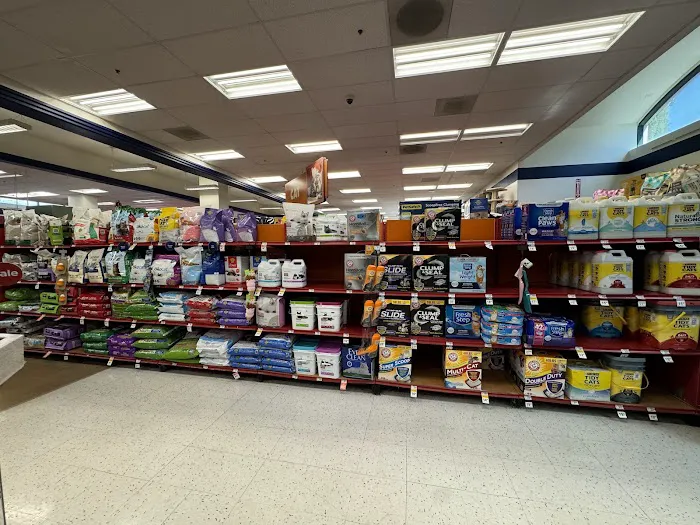 Petco Picture 8