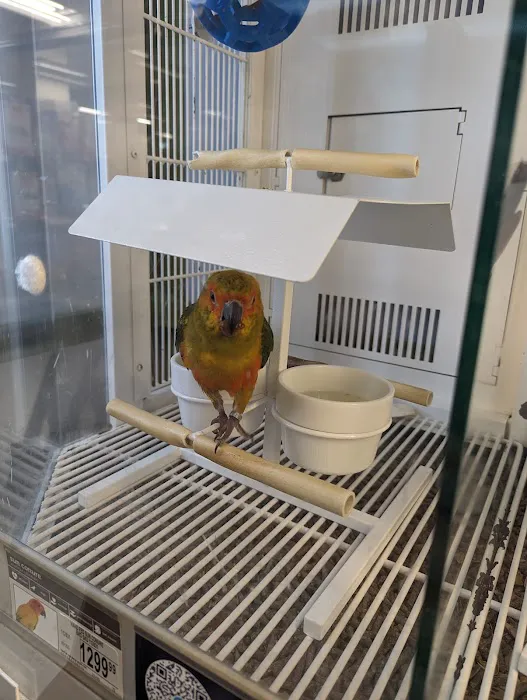 Petco Picture 7