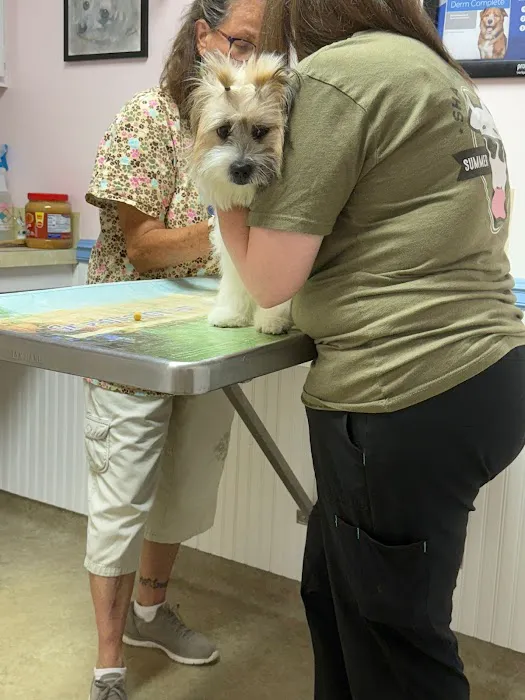North Fork Veterinary Hospital Picture 4
