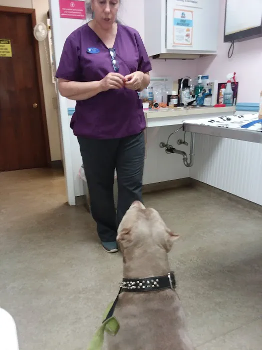 North Fork Veterinary Hospital Picture 2