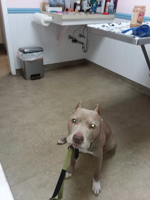 North Fork Veterinary Hospital Picture 1
