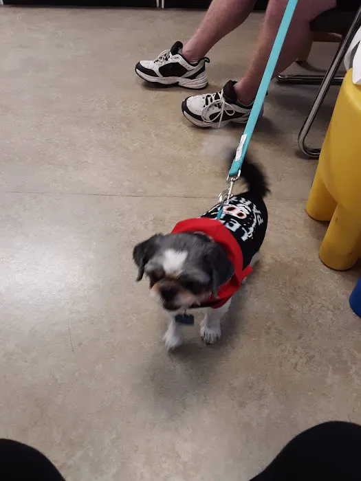 North Fork Veterinary Hospital Picture 8