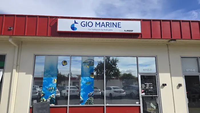 Gio Marine Picture 1
