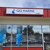 Gio Marine ico