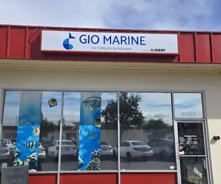 Gio Marine