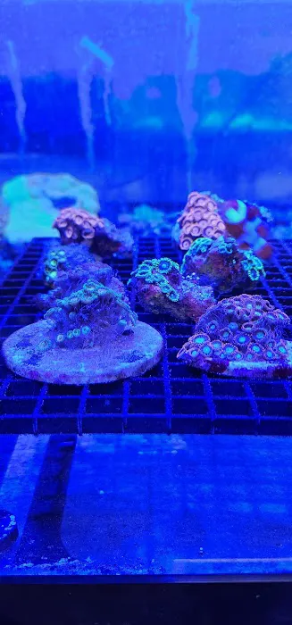 sjreef Picture 1