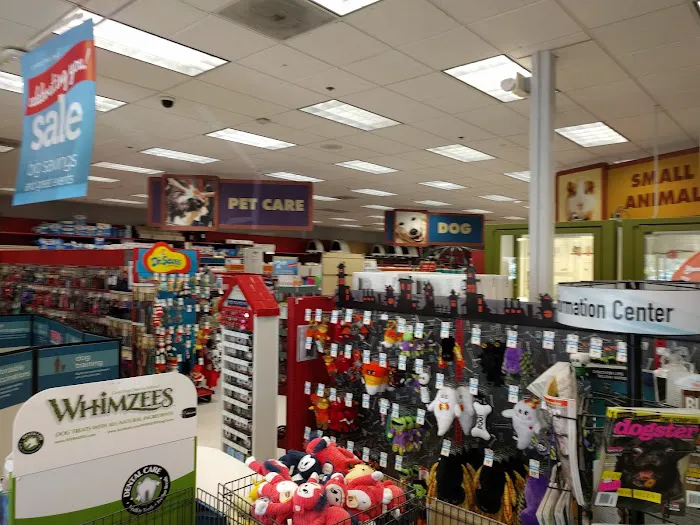 Petco Picture 7