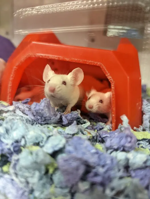 Petco Picture 6