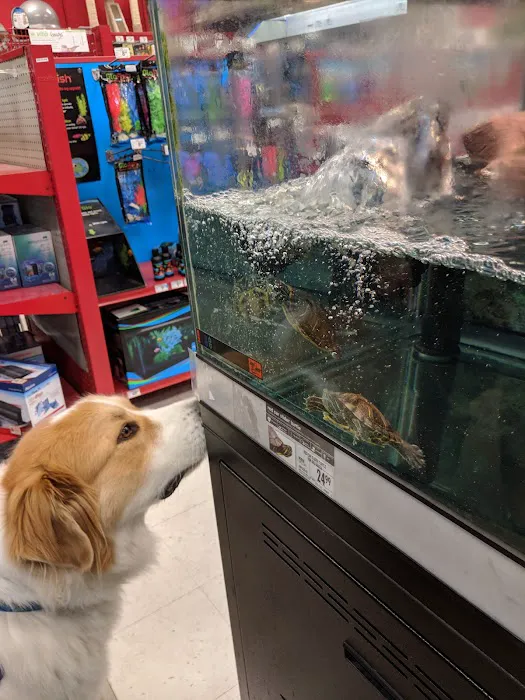 Petco Picture 10
