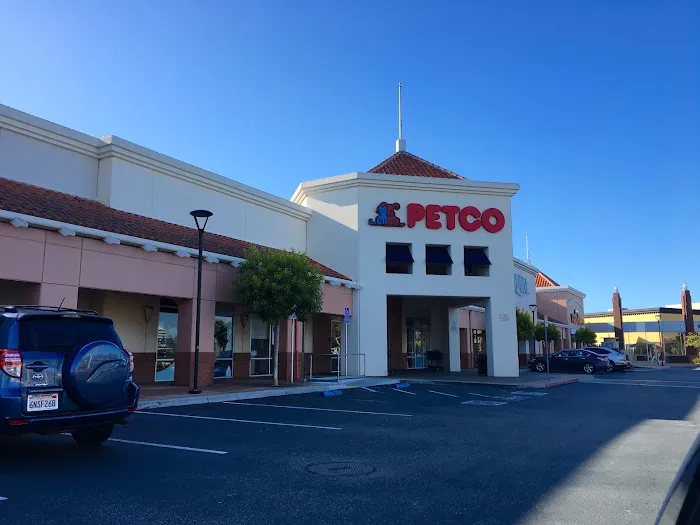 Petco Picture 4