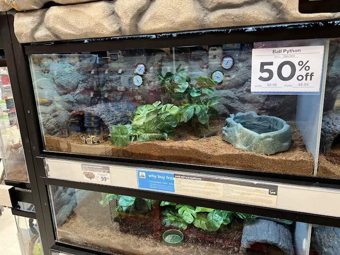 Petco Picture 5