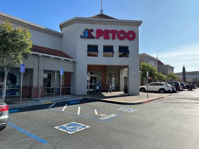 Petco Picture 3