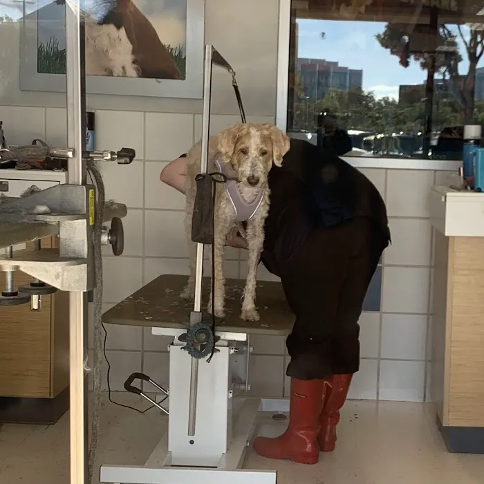 Petco Picture 9