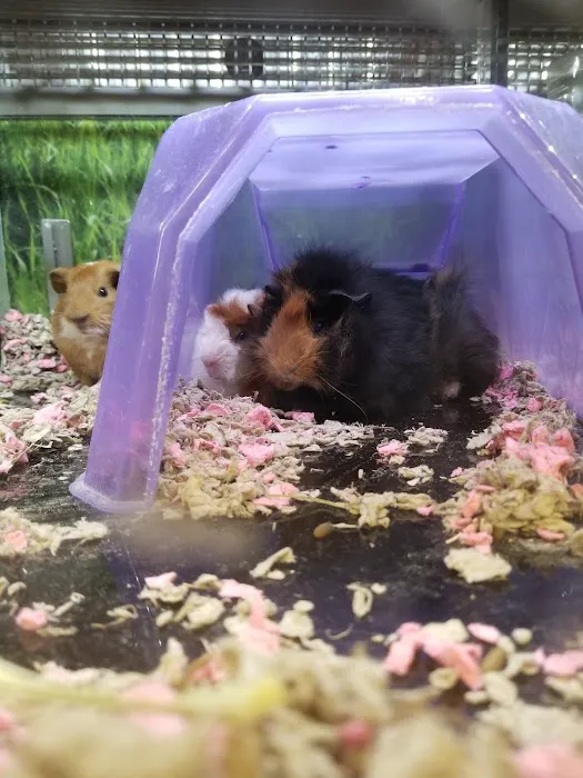Petco Picture 10