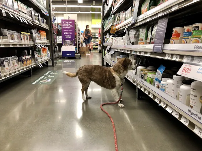 Petco Picture 7