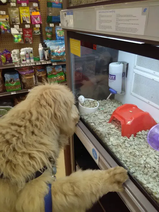Petco Picture 7