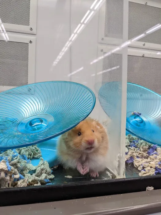 Petco Picture 6