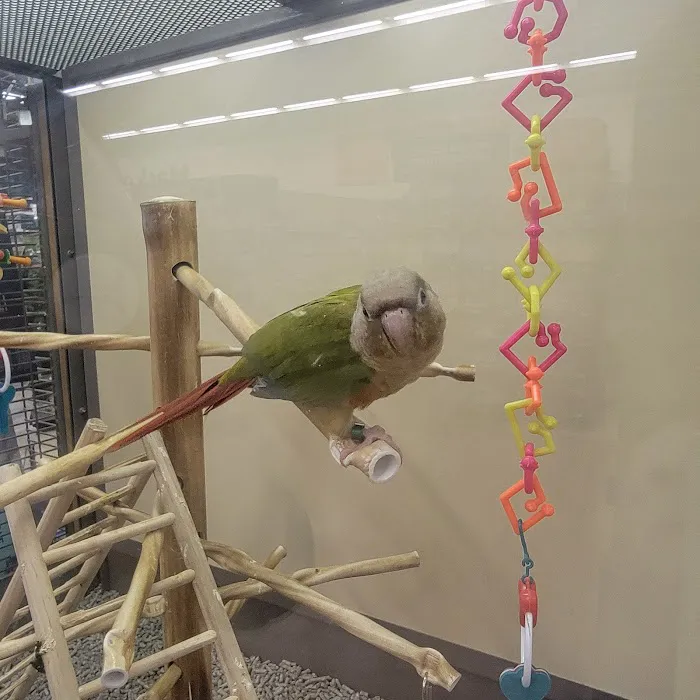 Petco Picture 10
