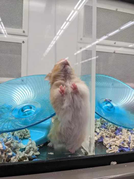 Petco Picture 1