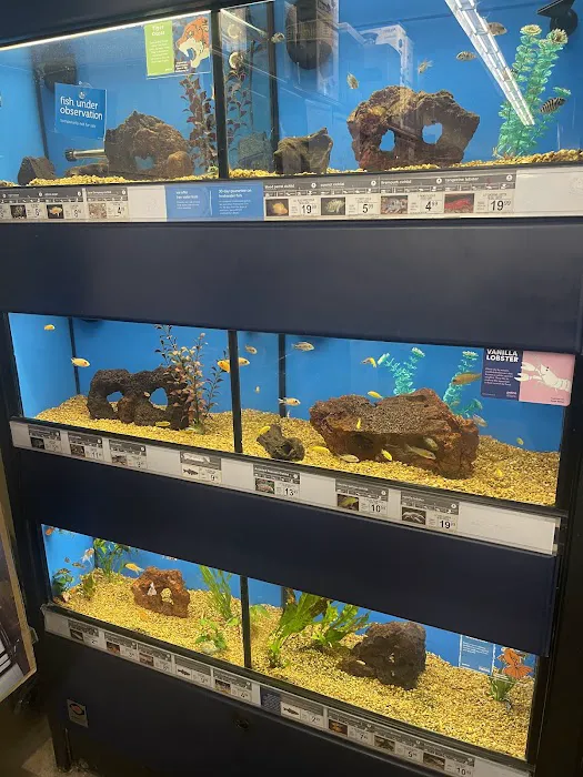 Petco Picture 8