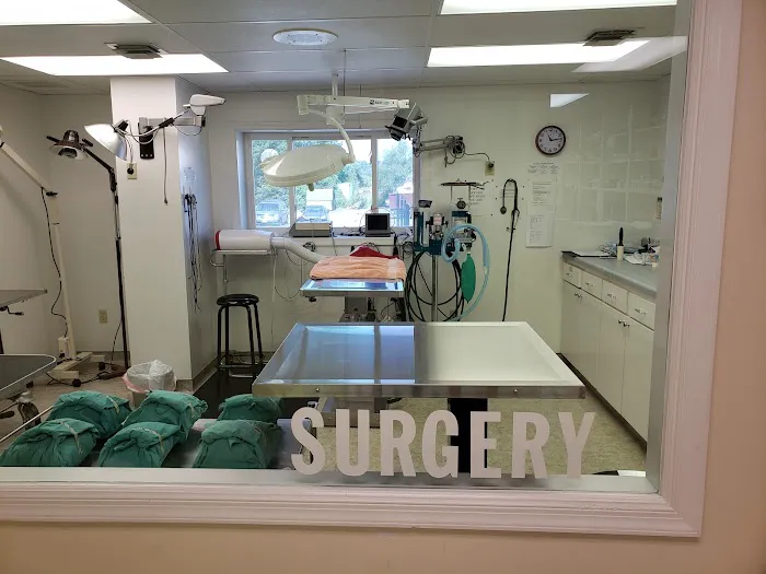 Harrisonburg Animal Hospital Picture 3