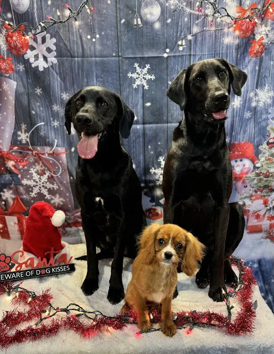 Harrisonburg Animal Hospital Picture 10