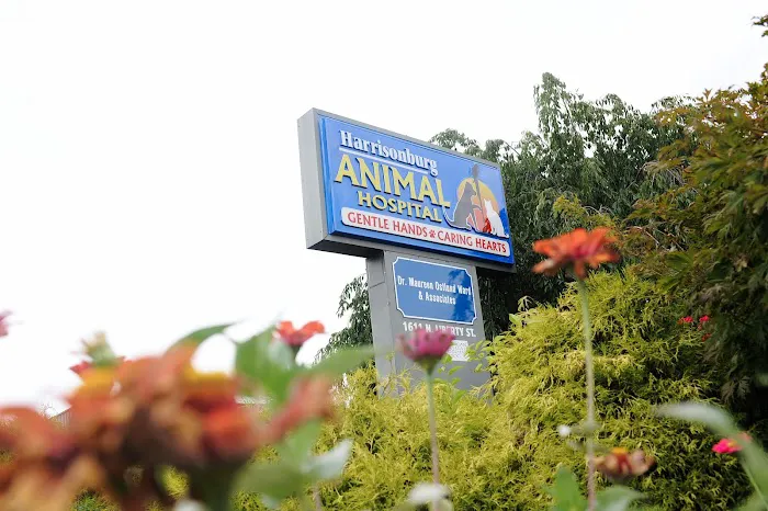 Harrisonburg Animal Hospital Picture 9