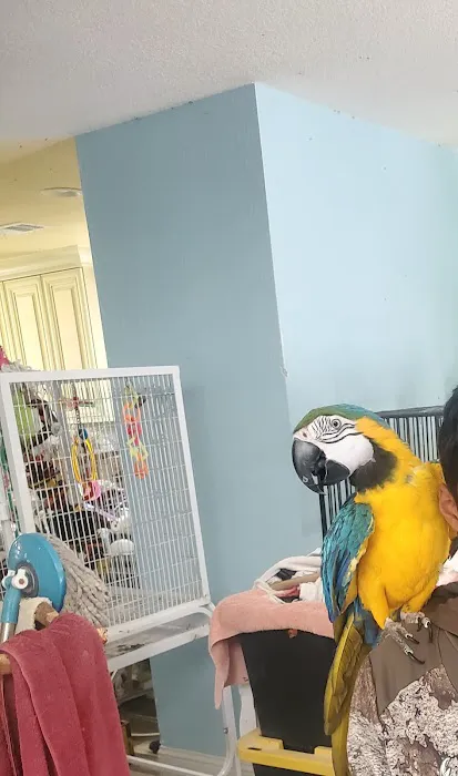 Avian Rescue Picture 1