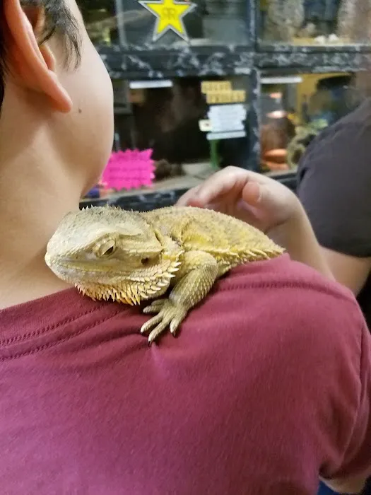 Hoffmann's Reptile Shop Picture 3