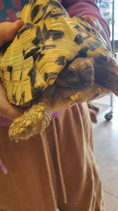 Hoffmann's Reptile Shop Picture 8