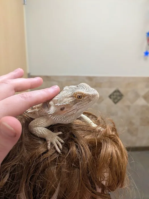 Hartwood Animal Hospital Picture 8