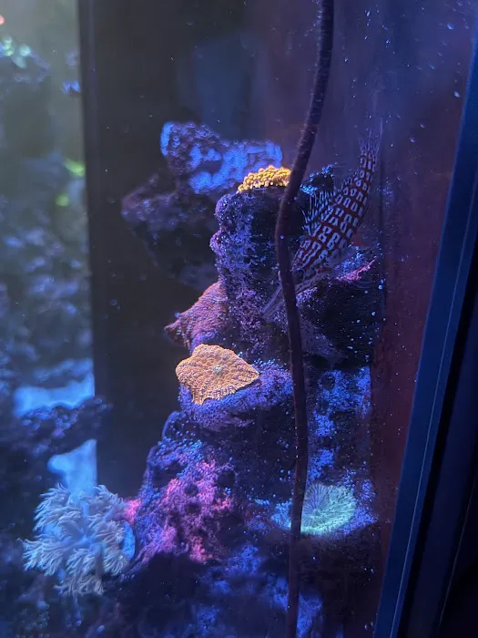 Reef Racket LLC Picture 1
