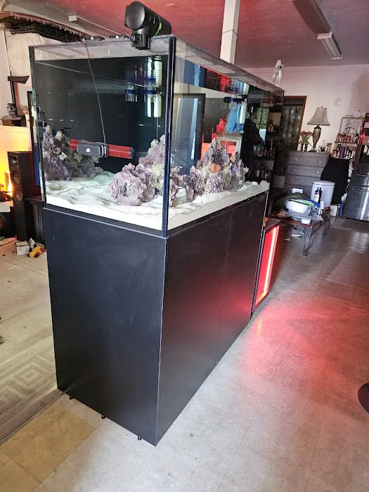 Reef Racket LLC Picture 8