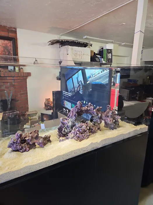 Reef Racket LLC Picture 6